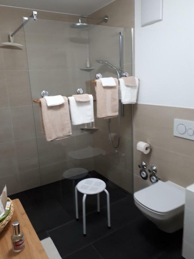 Bad Saeckingen - Sie Werden Sich Hier Wohl Fuehlen Apartment Bagian luar foto